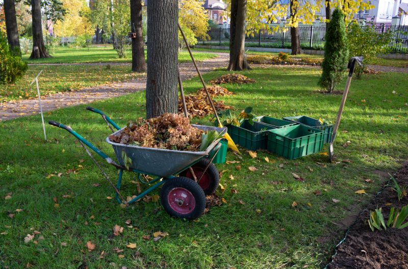 Clearing Flower Beds in Autumn