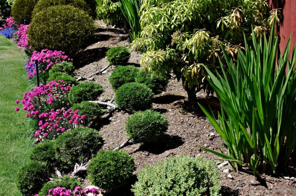 Residential Gardening